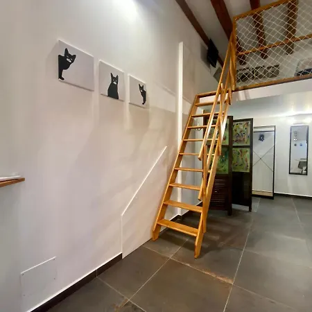 Casa Labi דירה *