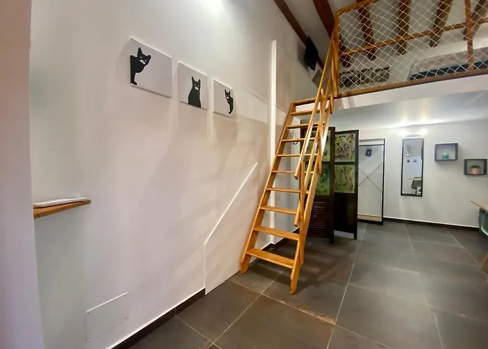 Casa Labi Apartman *
